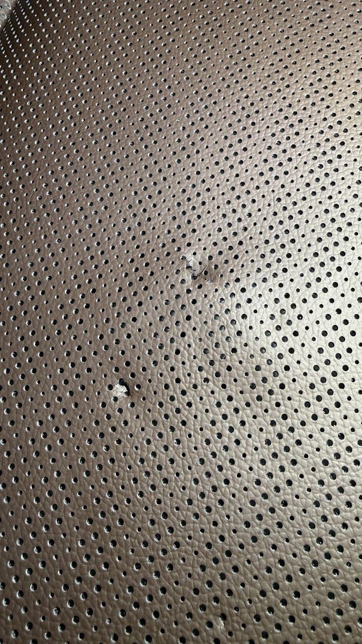 Perforated leather torn through the holes