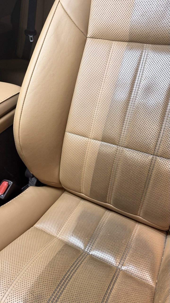 Conditioned and cleaned leather